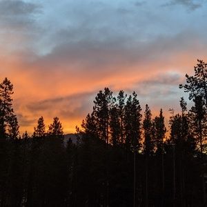 Meet your Posher, Kelley